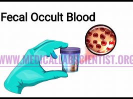 fecal occult blood test