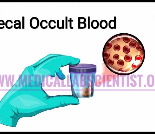 fecal occult blood test