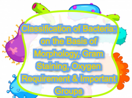 Classification of Bacteria: on the Basis of Morphology, Gram Staining, Oxygen Requirement & Important Groups