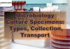 Microbiology Culture Specimens: Types, Collection, Transport
