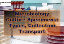 Microbiology Culture Specimens: Types, Collection, Transport