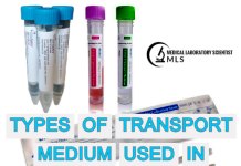 Types of Microbiology Transport Media: A Comprehensive Guide