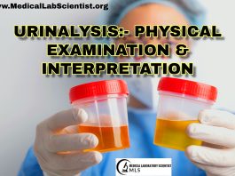 URINALYSIS- PHYSICAL EXAMINATION & INTERPRETATION