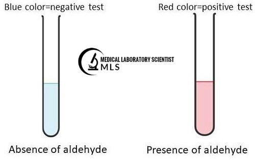 Ehrlich's Benzaldehyde Test Interpretation