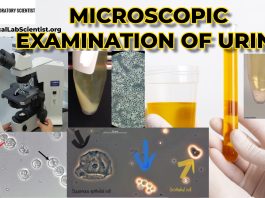 MICROSCOPIC URINALYSIS