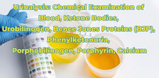 Urinalysis: Chemical Examination of Blood, Ketone Bodies, Urobilinogen, Bence Jones Proteins (BJP), Phenylketonuria, Porphobilinogen, Porphyrin, Calcium