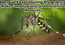 Dengue Fever During Pregnancy