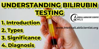 Understanding Bilirubin Testing